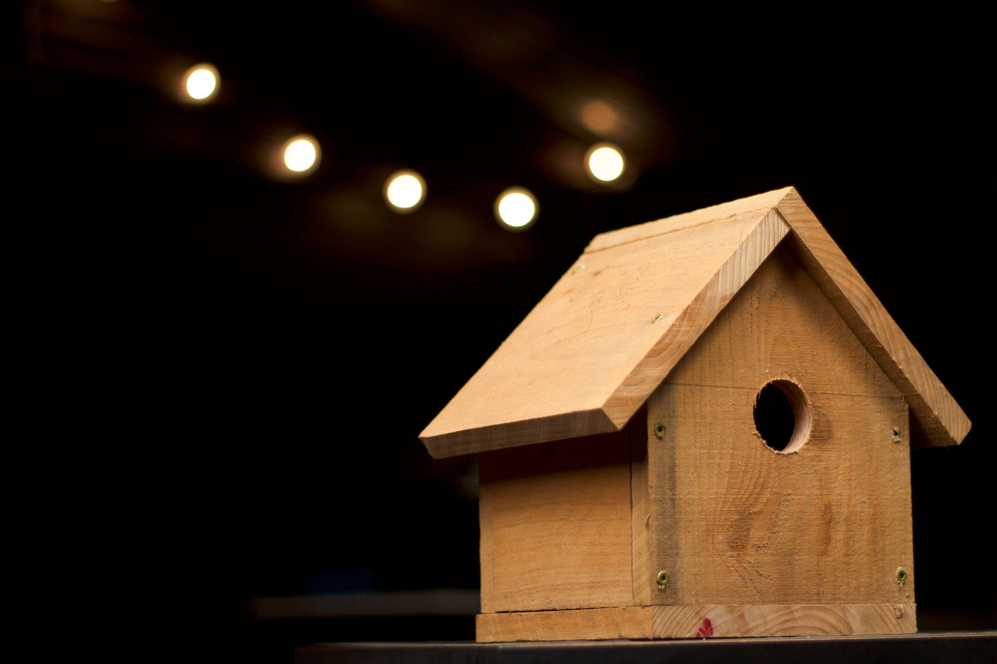 Handmade Birdhouse